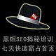 黑帽技术论坛黑帽SEO系列视频教程